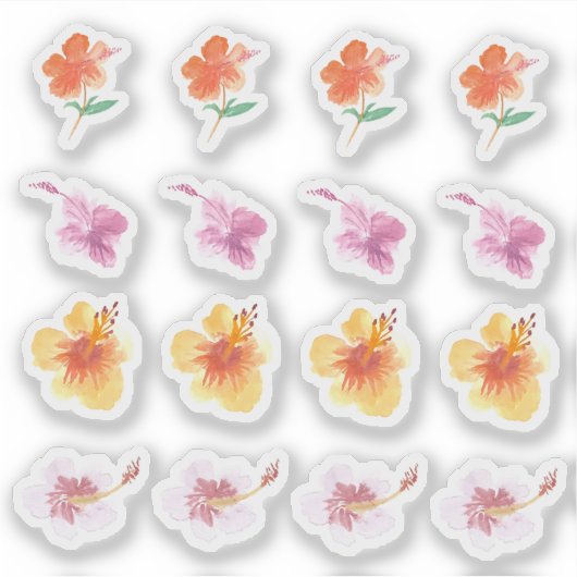 水彩ハイビスカスカラフル花模様ハンド絵を描 シール (正面)