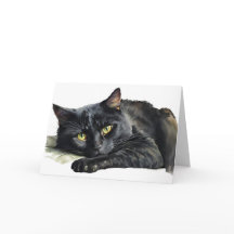 水彩ハロウィン黒猫