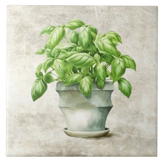 水彩ハーブのバジルのテクスチ素朴ャフェイクー タイル (正面)
