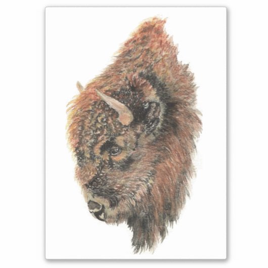 水彩バイソンバッファローワイルドライフアニマルアート シール (正面)