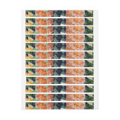 水彩バラ29 ラップアラウンドラベル (シート)