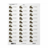 水彩パインスプリグ、差出人住所ラベル ラベル (フルシート)