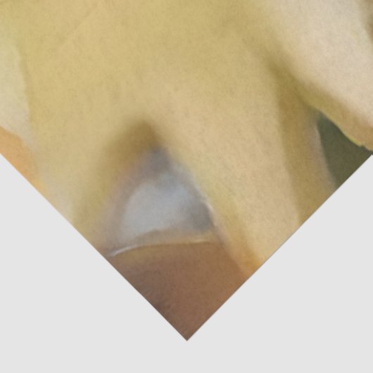 水彩ビッグイエローサンフラワーコレクシエレガントョン 薄葉紙 (詳細)