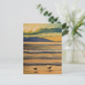 水彩ビーチの鳥 ポストカード (スタンド正面)