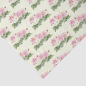 水彩ピンクア日本のネモンイラストレーション 薄葉紙 (詳細)