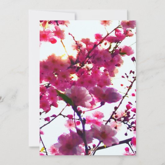 水彩ピンク春フローラ |花の木 セーブザデート (裏面)