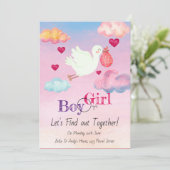 水彩ピンク&ブルー性別リビール招待状 招待状 (スタンド正面)