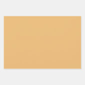 水彩ファーム動物ガチョウ包装紙シート ラッピングペーパーシート (正面3)