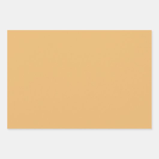 水彩ファーム動物ガチョウ包装紙シート ラッピングペーパーシート (正面3)