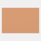 水彩ファーム動物ガチョウ包装紙シート ラッピングペーパーシート (正面2)