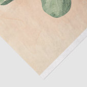 水彩フィドル葉イチジク植物のデコページ 薄葉紙 (詳細)