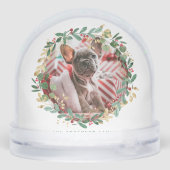 水彩フェスティバルクリスマスリースペット写真 (裏面)