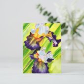 水彩フローラ虹彩花 ポストカード (スタンド正面)