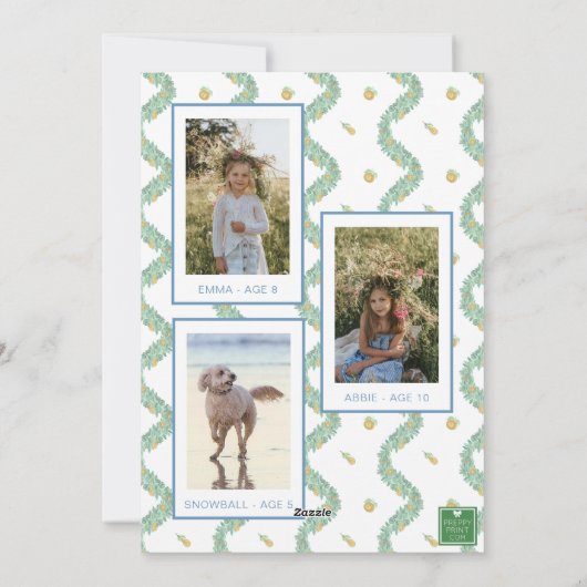 水彩ブルーボウフルーツガーランドクリスマスフォト シーズンカード (裏面)