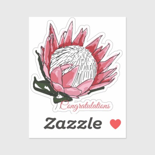 水彩プロテアおめでとうI シール (シート)