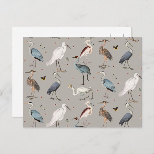 水彩ヘロン鳥エグレ自然模様 シーズンポストカード (正面/裏面)