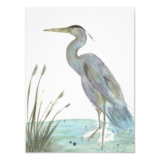 水彩ヘロン フォトプリント            (正面)