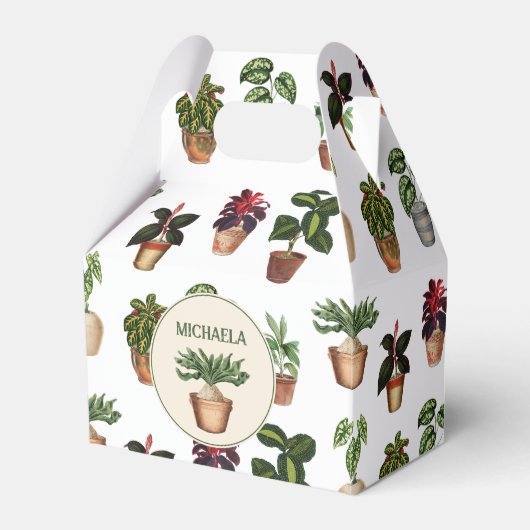 水彩ポッテッドプラントテラコッタポット名 フェイバーボックス (正面サイド)