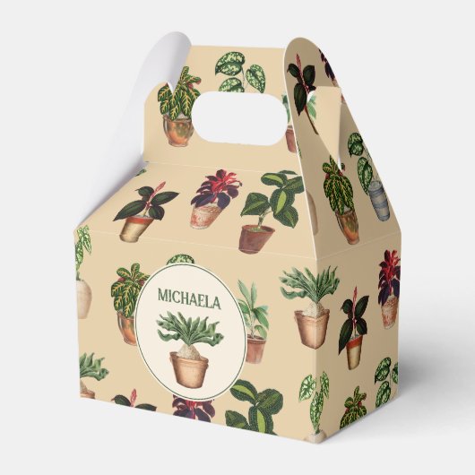 水彩ポッテッドプラントテラコッタポット名 フェイバーボックス (正面サイド)