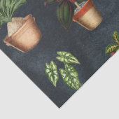 水彩ポッテッドプラントテラコッタポット 素朴 薄葉紙 (詳細)