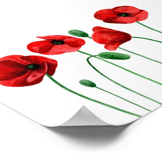 水彩ポピープリント赤い花植物芸術 ポスター (角)