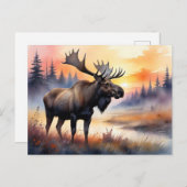 水彩ムースアットサンライズ ポストカード (正面/裏面)