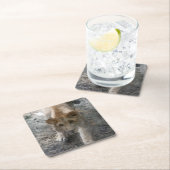 水彩ライオネス スクエアペーパーコースター (インサイチュ)