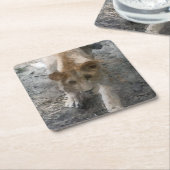 水彩ライオネス スクエアペーパーコースター (アングル)