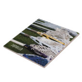 水彩ラクロス棒 タイル (側面)