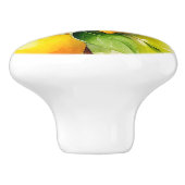 水彩レモンとグリーン離れ セラミックノブ (側面)
