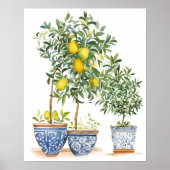 水彩レモンの木とオリーブの木の陳腐さ ポスター (正面)