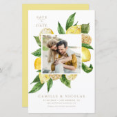 水彩レモンフレーム写真保存日 (正面/裏面)