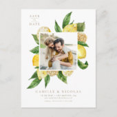 水彩レモンフレーム植物写真 案内ポストカード (正面)