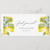 水彩レモンブロッサムぶら下がったのシートチャートサイン (正面/裏面)