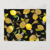 水彩レモン31 ポストカード (裏面)