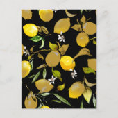 水彩レモン31 ポストカード (正面)