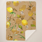 水彩レモン33 シェルパブランケット (正面)