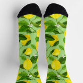 水彩レモン3 ソックス (上部)