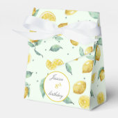 水彩レモン フェイバーボックス (正面サイド)