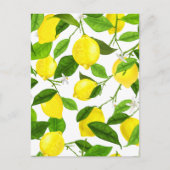 水彩レモン ポストカード (正面)