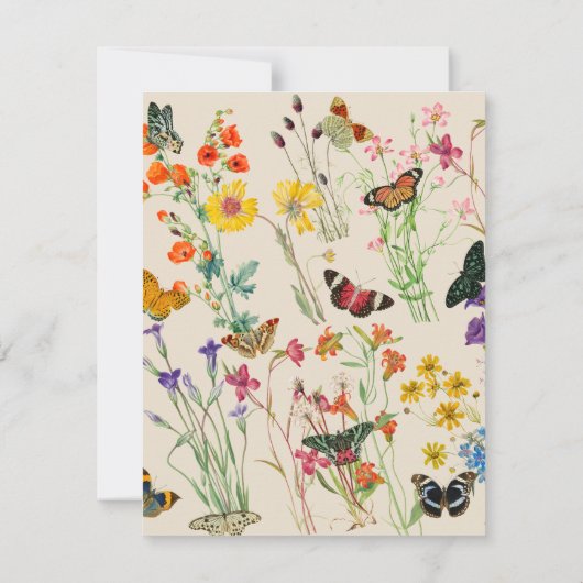水彩ワイルドフラワーズ&蝶フローラガーデン ノートカード (裏面)
