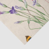 水彩ワイルドフラワーズ&蝶フローラガーデン 薄葉紙 (詳細)