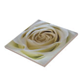 水彩ヴィンテージホワイトクリームバラ芽詳細 タイル (側面)