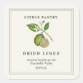 水彩ヴィンテージ乾燥ライムスライス スクエアシール (正面)