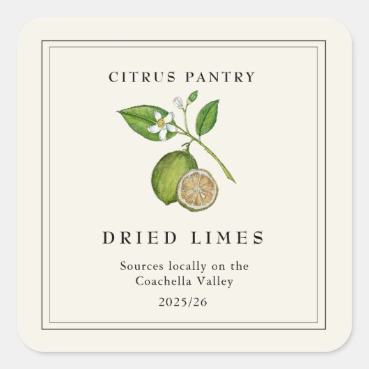 水彩ヴィンテージ乾燥ライムスライス スクエアシール (正面)