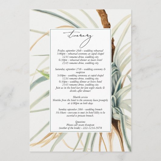 水彩中性ボホの結婚旅程 プログラム (裏面)