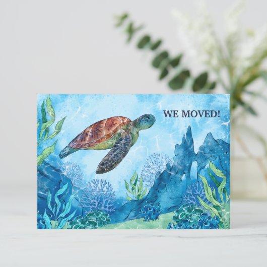 水彩亀の動きのお知らせ 案内状 (スタンド正面)