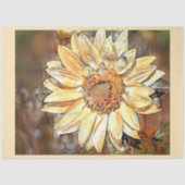 水彩光沢ひまわりコレクシエレガントョン 薄葉紙 (正面)