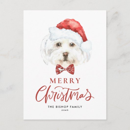 水彩可愛いマルチーズサンタメリークリスマス シーズンポストカード (正面)
