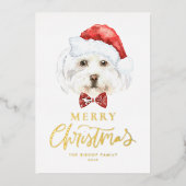水彩可愛いマルチーズサンタメリークリスマス 箔シーズンカード (正面)